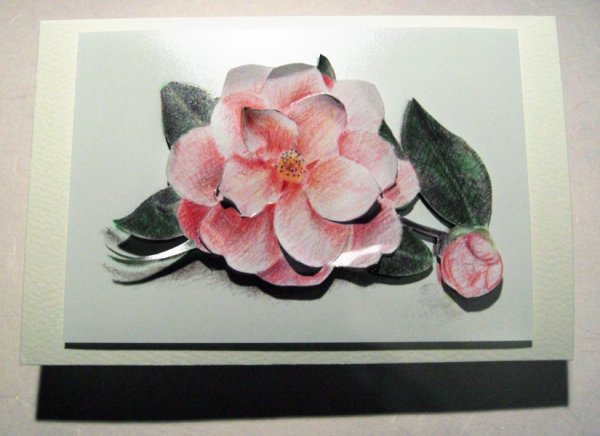 camellia card for my granny