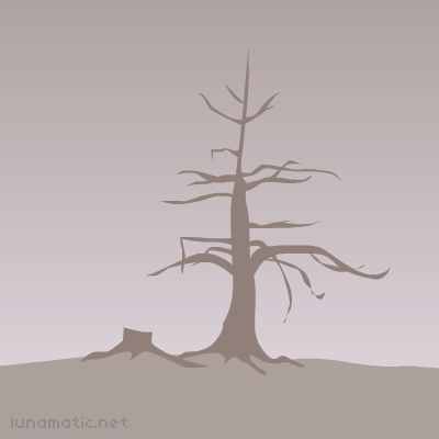 A tree and a tree stump