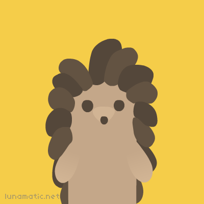 Hedgehog has a little snout and lots of interesting hair